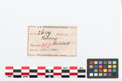 Etikett zu Bronzebrillenfibel (NHMW-PRAE-026519)